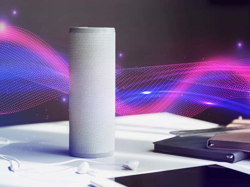 a smart speaker